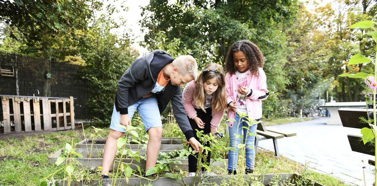 Basisschoolkinderen in schooltuin